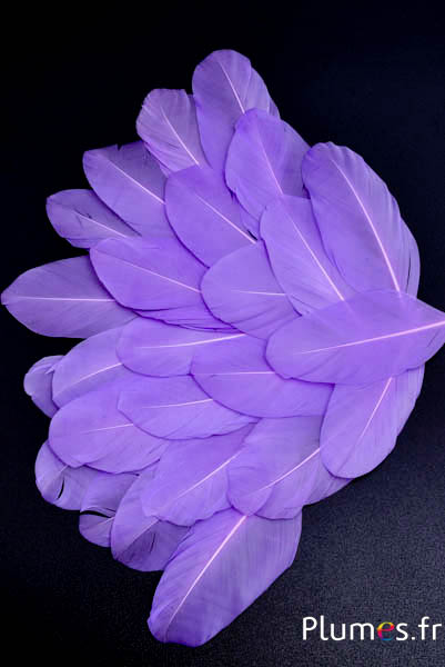 Blütenblätter aus Federn - 6-8 cm x 3-4 cm- flieder